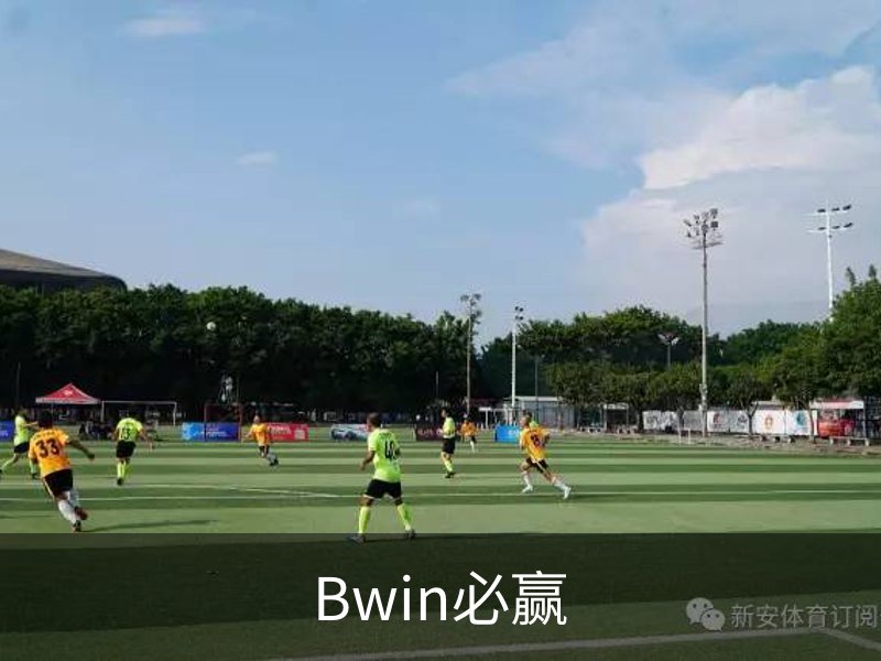 了解Bwin必赢